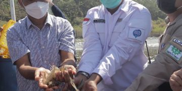 Dengan Tambak Udang, Pendapatan Masyarakat Cidaun, Cianjur Meningkat Tiga Puluh Kali lipat