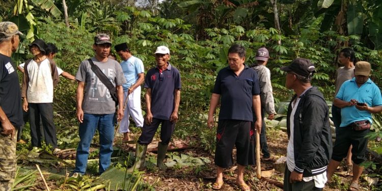 Tanamannya Rusak, Petani di Desa Tenjojaya Tuntut Ganti Rugi pada PT Bogorindo Cemerlang