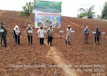 REALISASI PENANAMAN KACANG TANAH CAPAI 2.492 Ha, DISTAN SUKABUMI ” MASIH DAPAT DITINGKATKAN