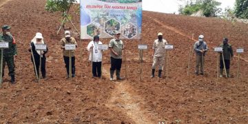 REALISASI PENANAMAN KACANG TANAH CAPAI 2.492 Ha, DISTAN SUKABUMI ” MASIH DAPAT DITINGKATKAN