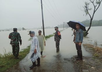 Banjir Tahunan, Ratusan Hektar Lahan Sawah Terendam Banjir di Ciemas Sukabumi