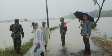 Banjir Tahunan, Ratusan Hektar Lahan Sawah Terendam Banjir di Ciemas Sukabumi
