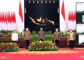 Ridwan Hisjam Wakili Komisi VII DPR RI Usulkan Revolusi Energi Terbarukan Indonesia (Retina)