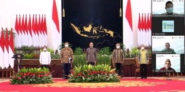 Ridwan Hisjam Wakili Komisi VII DPR RI Usulkan Revolusi Energi Terbarukan Indonesia (Retina)