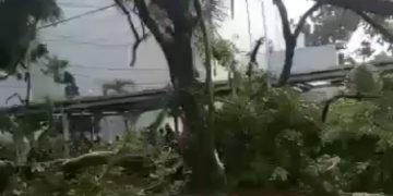 Hujan Lebat Disertai Angin Kencang di Bogor Tumbangkan Pohon dan Merusak Beberapa Bangunan dan Kendaraan