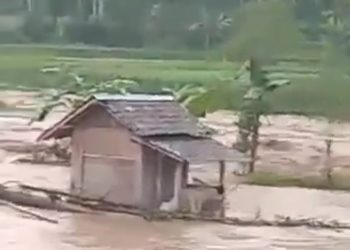 Kali Cibodas Cianjur Meluap, Banjiri Sawah Serta hanyutkan Sebuah Rumah Warga