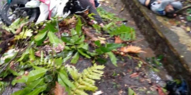 2 Orang Pengendara Motor Meninggal di Tempat Akibat Tertimpa Pohon Tumbang di Depan Hotel SBH Palabuhanratu