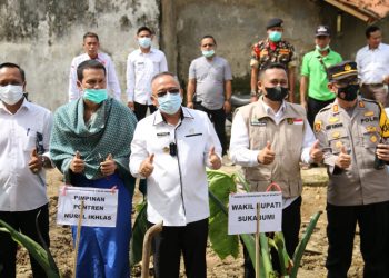 Selain untuk Peningkatan Kesejahteraan Masyarakat, Wabup juga Berharap Talas Beneng bisa Menjadi Ikon di Sukabumi