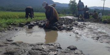 Tiga Kades di Ciemas Meradang, Jalan Rusak jadi Pemicunya