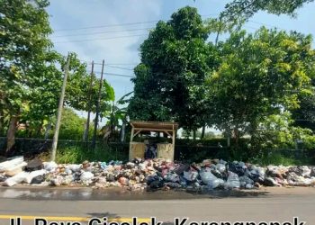 Sampah Berserakan Sepanjang Jalan Citepus-Cisolok, Ketua DPD PPLHI Kabupaten Sukabumi : Sangat Memalukan
