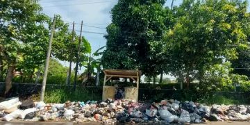 Sampah Berserakan Sepanjang Jalan Citepus-Cisolok, Ketua DPD PPLHI Kabupaten Sukabumi : Sangat Memalukan