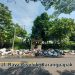 Sampah Berserakan Sepanjang Jalan Citepus-Cisolok, Ketua DPD PPLHI Kabupaten Sukabumi : Sangat Memalukan