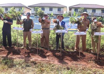 Bupati Sukabumi Sebut DPD KNPI  Sebagai Motivator bagi Pemuda, dalam  Sektor Pertanian