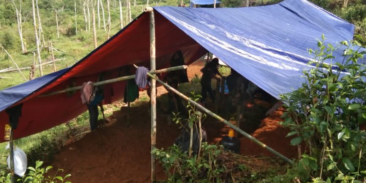 Kuasa Hukum PT. Bojong Asih, Minta Kepolisian Segera Tindak Tegas Terhadap Pelaku Aktifitas Penambangan Liar