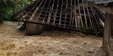 Rentang Waktu 2 Bulan, Desa Tamanjaya 11 kali Diterjang Banjir, Ketua DPD PPLHI Sukabumi Cerca Kinerja Aparatur Pemerintah