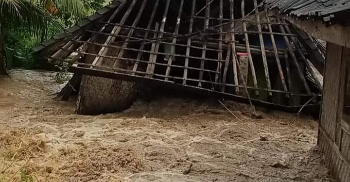 Rentang Waktu 2 Bulan, Desa Tamanjaya 11 kali Diterjang Banjir, Ketua DPD PPLHI Sukabumi Cerca Kinerja Aparatur Pemerintah