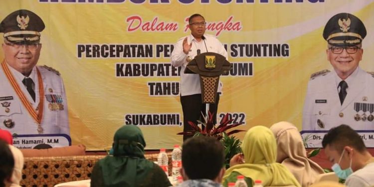 Bupati Sukabumi  Ajak Semua Unsur Berkomitmen bagi Penurunan Angka Stunting