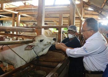 Produktif, Iyos Soemantri Puji UPPO di Jampang Kulon dan Lumbung Pangan Jampang Tengah