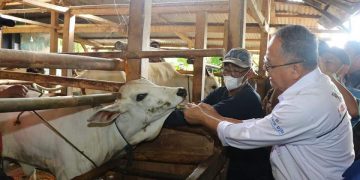 Produktif, Iyos Soemantri Puji UPPO di Jampang Kulon dan Lumbung Pangan Jampang Tengah