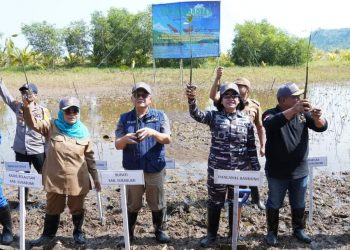 Dampingi Danlanal Bandung Tanam Mangrove dan Semai Bibit ikan di Ciwaru,  Wapub : Tambah Keragaman Ekosistim