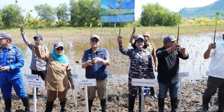 Dampingi Danlanal Bandung Tanam Mangrove dan Semai Bibit ikan di Ciwaru,  Wapub : Tambah Keragaman Ekosistim