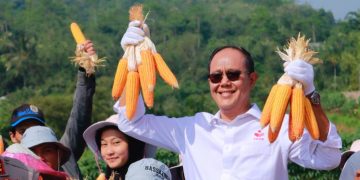 Implementasi Kemitraan FKDB dan Polri, Ayep Zaki Laksanakan Panen Jagung di Purabaya, Sukabumi