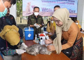 Dinas Peternakan Kabupaten Sukabumi Berikan Vaksinasi Rabies Gratis untuk 300 Ekor Hewan