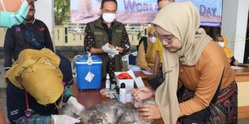 Dinas Peternakan Kabupaten Sukabumi Berikan Vaksinasi Rabies Gratis untuk 300 Ekor Hewan