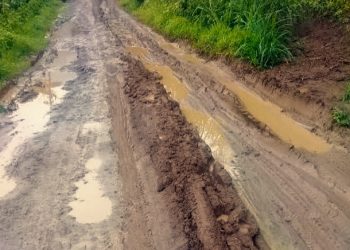 Jalan Rusak Parah, Aktifitas Warga Mekarjaya Ciemas, Terhambat