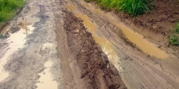 Jalan Rusak Parah, Aktifitas Warga Mekarjaya Ciemas, Terhambat