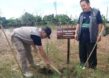 Penanaman 6000 Pohon Mangrove di Ciletuh Iyos Soemantri Harapkan bisa Menjadi Penguat bagi Biodiversity