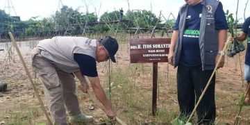 Penanaman 6000 Pohon Mangrove di Ciletuh Iyos Soemantri Harapkan bisa Menjadi Penguat bagi Biodiversity