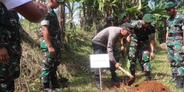Kostrad Bersinergi dengan Kodam lll/Siliwamgi dan Kopassus Tanam Pohon Secara Serentak di Sukabumi
