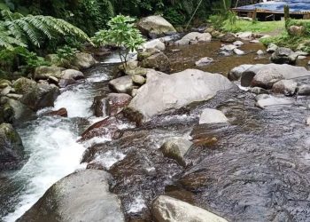 Pondok Halimun, Tempat Wisata Keluarga yang Wajib Dikunjungi bila ke Sukabumi