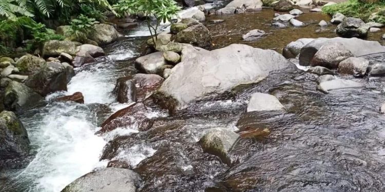 Pondok Halimun, Tempat Wisata Keluarga yang Wajib Dikunjungi bila ke Sukabumi