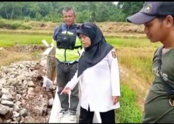 Kadis Perikanan Sukabumi, Nunung Nurhayati Tinjau Balai Benih Ikan (BBI) yang Mengalami Kerusakan