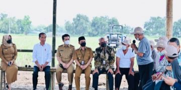Tinjau Penanaman Tebu di Mojokerto, Jokowi Targetkan Swasembada Gula