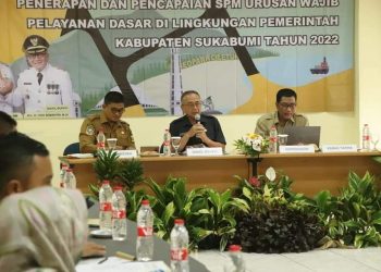 WABUP IYOS PAPARKAN PRINSIP PRINSIP STANDAR PELAYANAN MINIMAL