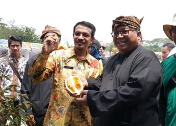 KECAMATAN CIKAKAK SENTRANYA DURIAN UNGGUL KABUPATEN SUKABUMI