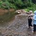 DINAS PERIKANAN TINJAU LOKASI RESTOCKING IKAN DI CURUG MANGLID CIDAHU