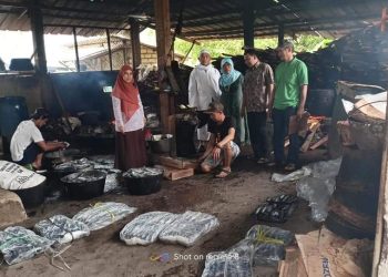 DINAS PERIKANAN BINA MUTU PENGOLAHAN IKAN PINDANG DI MEKARSARI CICURUG