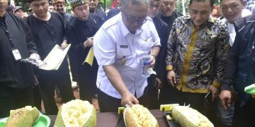 BUPATI SUKABUMI HADIRI FESTIVAL CEMPEDAK CIBUGIS