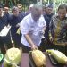 BUPATI SUKABUMI HADIRI FESTIVAL CEMPEDAK CIBUGIS