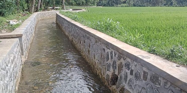Pembangunan Proyek Irigasi Cikaranggeusan, Dipercaya akan Tingkatkan Produktivitas Petani Lokal