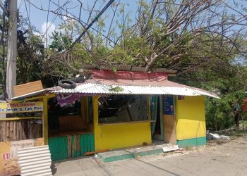 Tanpa Aba-aba,  Pohon Kalajuran Tumbang dan Merusak Sebuah Warung di Palabuhanratu
