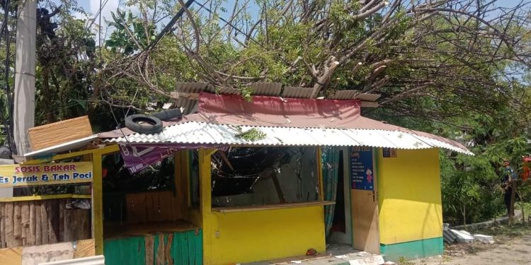 Tanpa Aba-aba,  Pohon Kalajuran Tumbang dan Merusak Sebuah Warung di Palabuhanratu