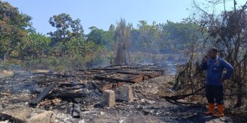 Kebakaran Lahan di Cigangsa, Kandang Ayam Ludes Terbakar Bersama 250 Ekor Broiler