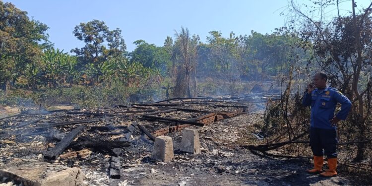 Kebakaran Lahan di Cigangsa, Kandang Ayam Ludes Terbakar Bersama 250 Ekor Broiler