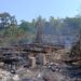 Kebakaran Lahan di Cigangsa, Kandang Ayam Ludes Terbakar Bersama 250 Ekor Broiler