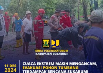Antisipasi Bencana, Dinas PU Rutin Periksa Pohon di Sepanjang Jalan